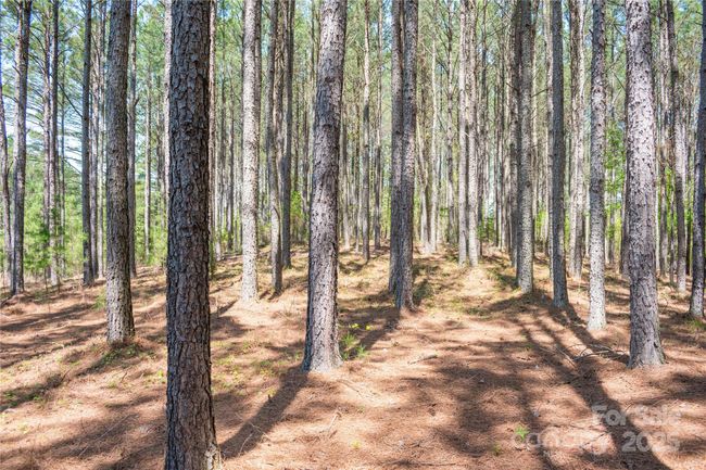 69 - 144 Whispering Pines Ln, Home with 0 bedrooms, 0 bathrooms and null parking in Mooresboro NC | Image 6