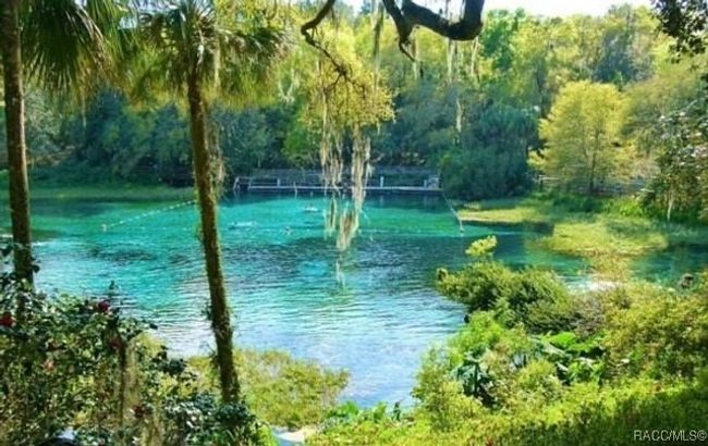 0 Sw 66 Th Loop, Home with 0 bedrooms, 0 bathrooms and null parking in DUNNELLON FL | Image 9