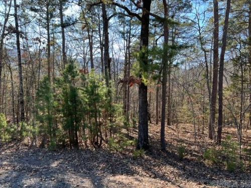 lot 55 Primrose Creek, Heber Springs, AR, 72543 | Card Image