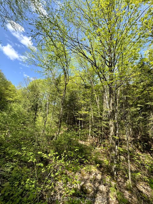 0 Salmon Trout Lake Rd, Bancroft, ON, K0L1C0 | Card Image