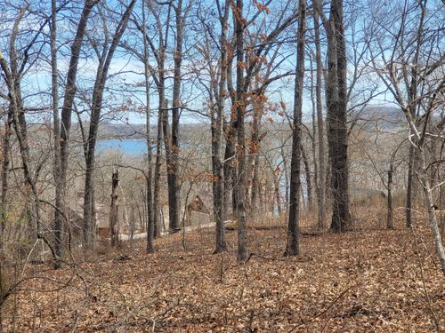 60 Green Cypress Rd, Shell Knob, MO, 65747 | Card Image