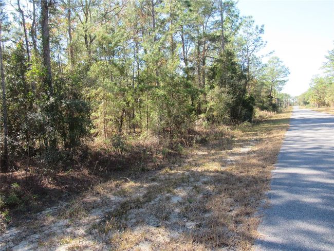 One-Acre (.99) New Build Site Located In Lovely and Established Rainbow Lakes Estates In Dunnellon, FL Conveniently Located To Inverness, Crystal River, Williston, Ocala and Gainesville. | Image 1