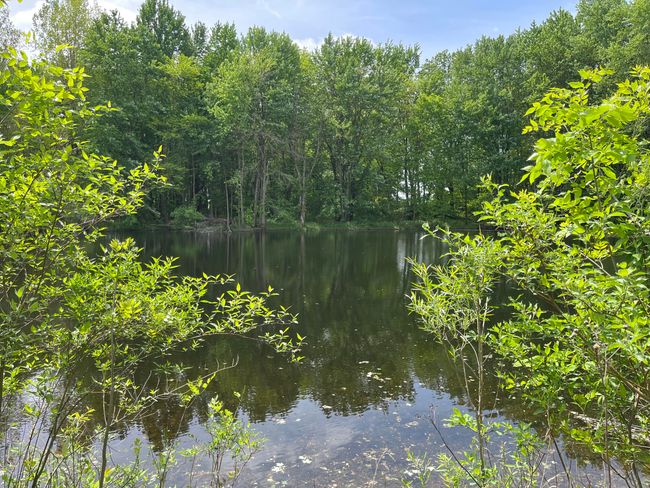 789 7 Th St, House other with 3 bedrooms, 1 bathrooms and null parking in Plainwell MI | Image 17