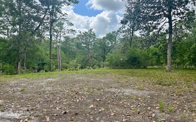 0 Ne 22 Nd Ct, Home with 0 bedrooms, 0 bathrooms and null parking in BRANFORD FL | Image 4