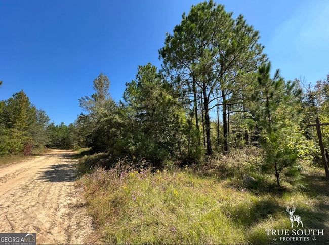 0 John S Horton Rd, Home with 0 bedrooms, 0 bathrooms and null parking in Adrian GA | Image 11