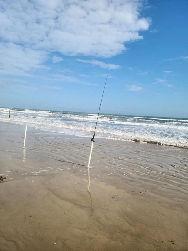 APT-207 - 3506 Cove View Blvd, Townhouse with 1 bedrooms, 1 bathrooms and 2 parking in Galveston TX | Image 25