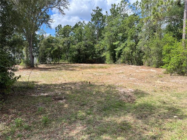 00 Se 161st Place, Home with 0 bedrooms, 0 bathrooms and null parking in Summerfield FL | Image 1