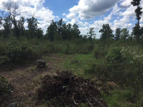 1240 County Road 875, Thornfield, MO, 65762-6183 | Card Image