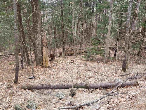 410-089-001 Eastern District Road, Danbury, NH, 03230 | Card Image