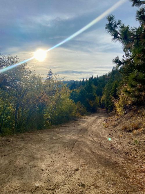 896 Rocky Mtn Rd, Newport, WA, 99156-5521 | Card Image