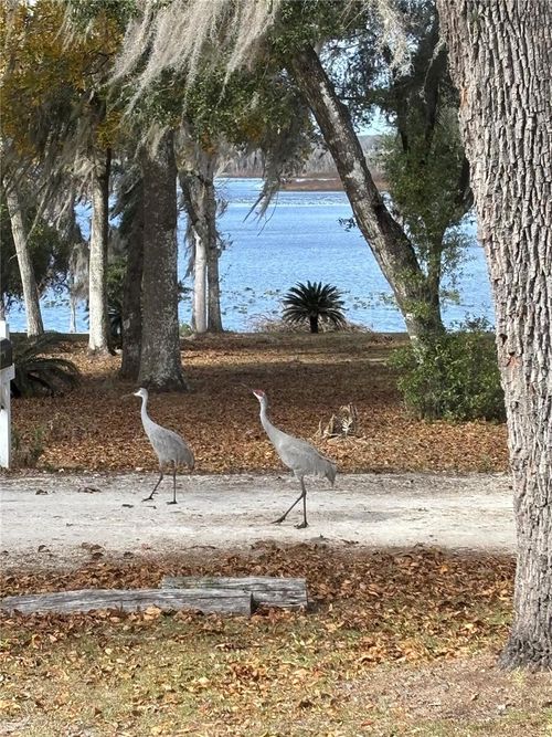 111 Little Orange Lake Dr, HAWTHORNE, FL, 32640-6028 | Card Image