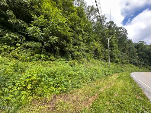 Tbd Bush Pl, Saint Paul, VA, 24283 | Card Image