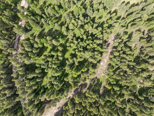 439 Buffalo Trl, Somers, MT, 59932-9620 | Card Image