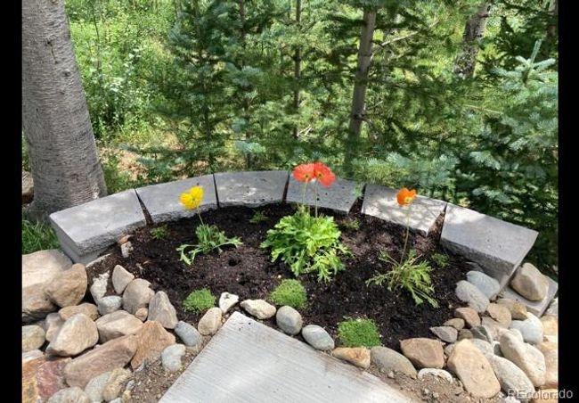 62 Thimbleberry Way, House other with 3 bedrooms, 4 bathrooms and 2 parking in SILVERTHORNE CO | Image 24