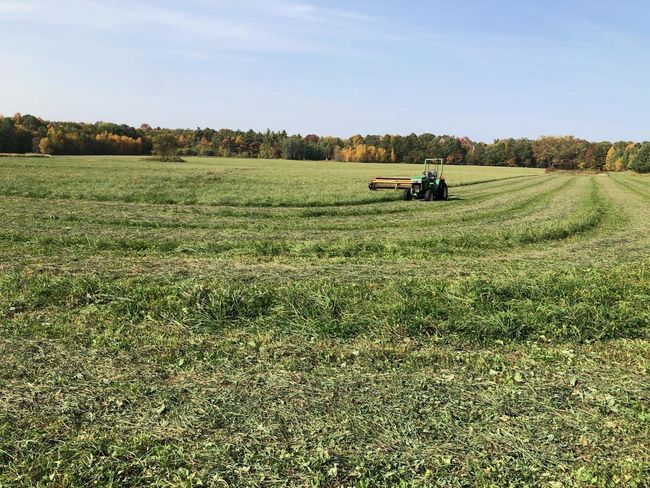 Farming | Image 11