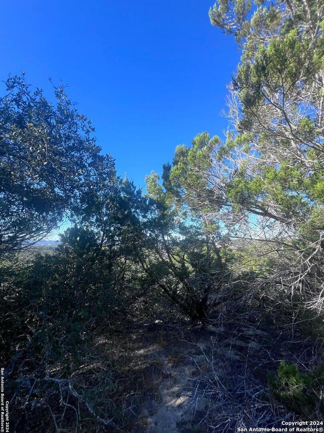 0 Cedar Hill Rd, Home with 0 bedrooms, 0 bathrooms and null parking in Pipe Creek TX | Image 11