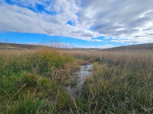 TBD Brown Rd, Lenore, ID, 83541-5194 | Card Image