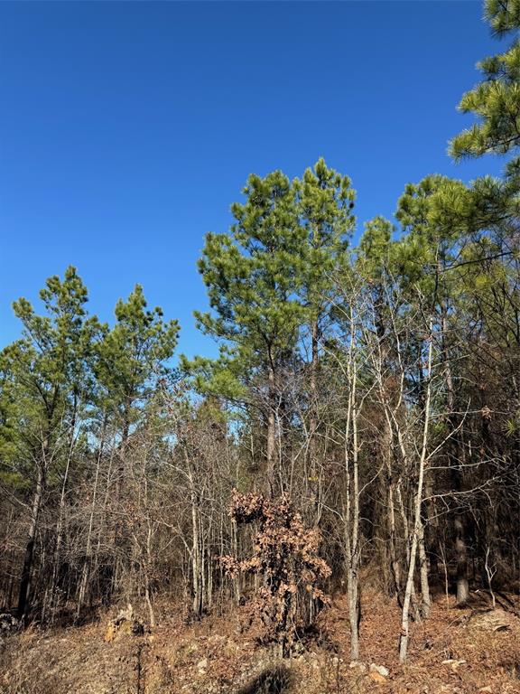 Land in Broken Bow 4
