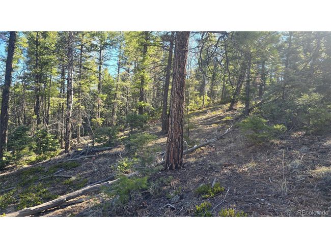 6034 Wood Rd, Home with 0 bedrooms, 0 bathrooms and null parking in San Luis CO | Image 8