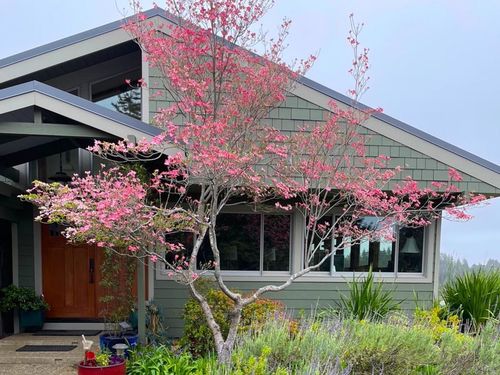 1584 Tindall Ranch Rd, Corralitos, CA, 95076-0192 | Card Image