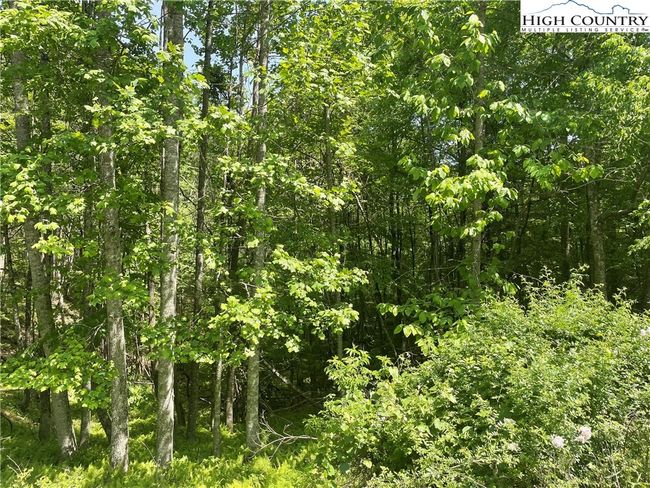 55 Meadow Crest Drive, Home with 0 bedrooms, 0 bathrooms and null parking in Jefferson NC | Image 6