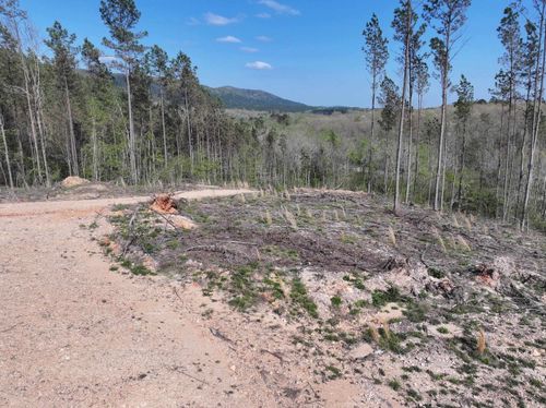 14 Palmer Mountain Rd, Caddo Gap, AR, 71935 | Card Image