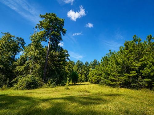 15881 Wood Grove Way, Willis, TX, 77378 | Card Image