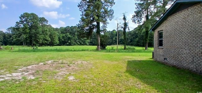 View of grassy yard | Image 12