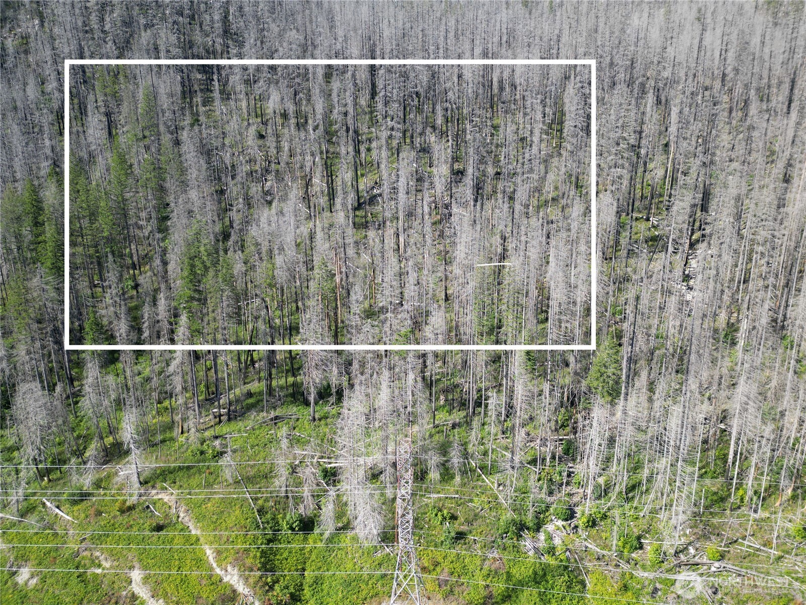 Land in Skykomish 2