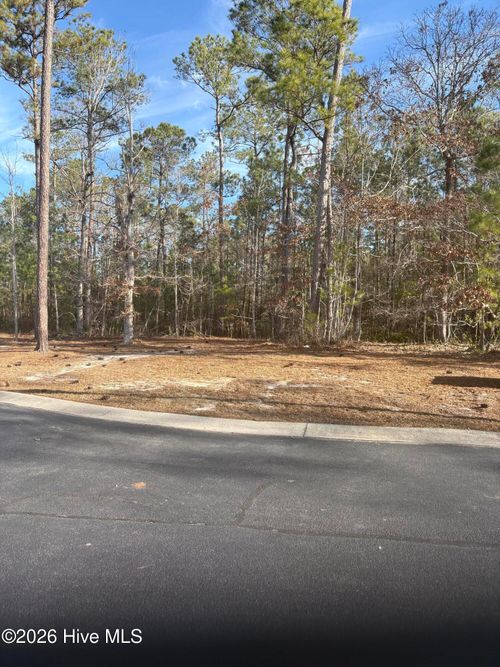 1206 Mandevilla Dr Se, Bolivia, NC, 28422-7411 | Card Image