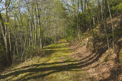 TBD Black Ridge Rd Sw, Floyd, VA, 24091 | Card Image