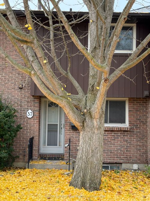 37-151 Linwell Rd, Saint Catharines, ON, L2N6P3 | Card Image