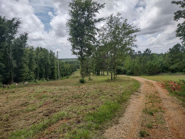 1100 Sapp Rd, House other with 3 bedrooms, 3 bathrooms and 3 parking in Dry Branch GA | Image 25