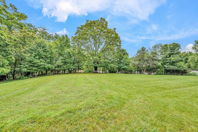 Very nice lot! | Image 27