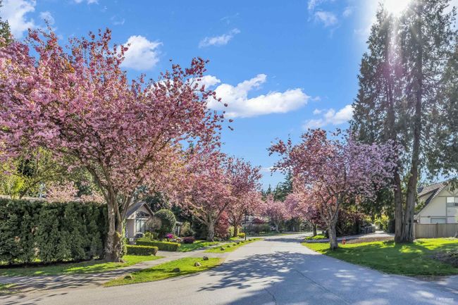 1631 134 Street, House other with 3 bedrooms, 2 bathrooms and 6 parking in Surrey BC | Image 13