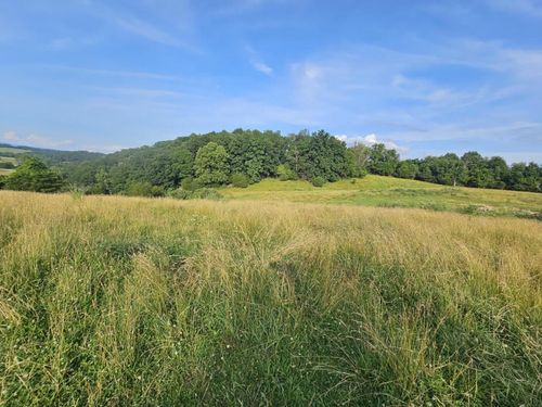 TBD Quiet Acres Ln, Glade Spring, VA, 24340 | Card Image