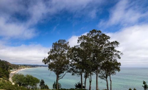 5c-850 Park Ave, Capitola, CA, 95010 | Card Image