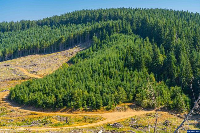 0 Bald Mountain Rd, Home with 0 bedrooms, 0 bathrooms and null parking in Beaver OR | Image 30