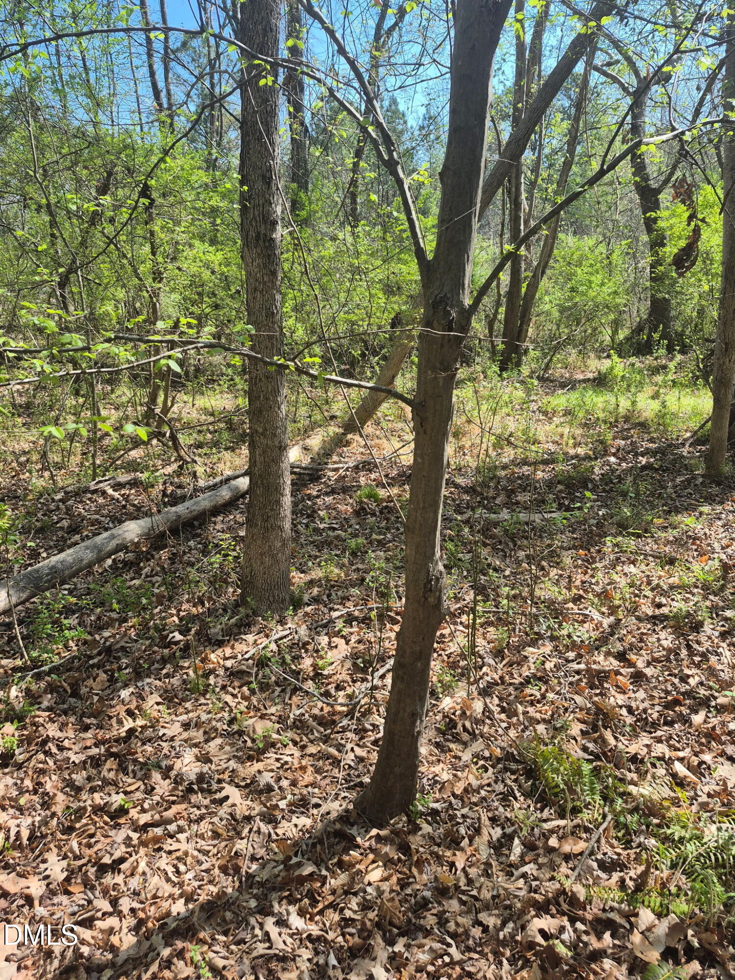 Land in Durham 5