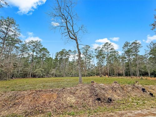252 Amblewood Drive Drive, Brookeland, TX, 75931 | Card Image