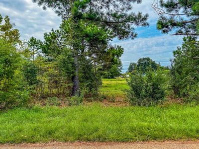 View of local wilderness | Image 1