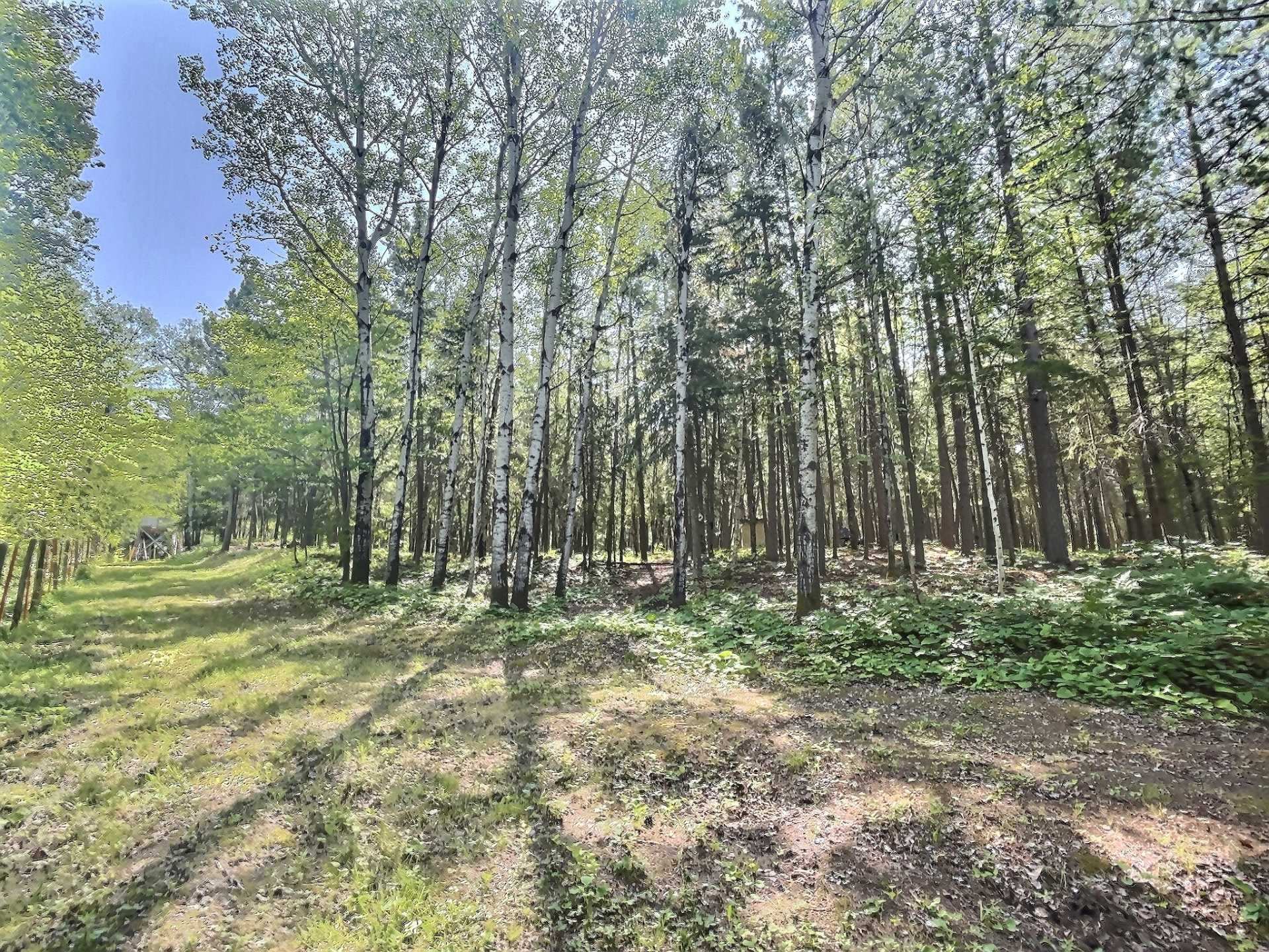 Land in Saint-Bruno-de-Guigues 3