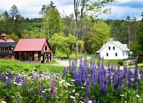 4669 Vermont Rte 100, Londonderry, VT, 05148 | Card Image