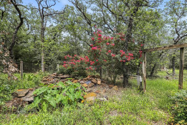 1643 Lacy Dr, House other with 4 bedrooms, 3 bathrooms and null parking in Lipan TX | Image 35
