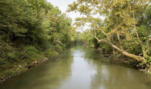 12 Sturgeon Creek Rd, Cedar Hill, TN, 37032 | Card Image