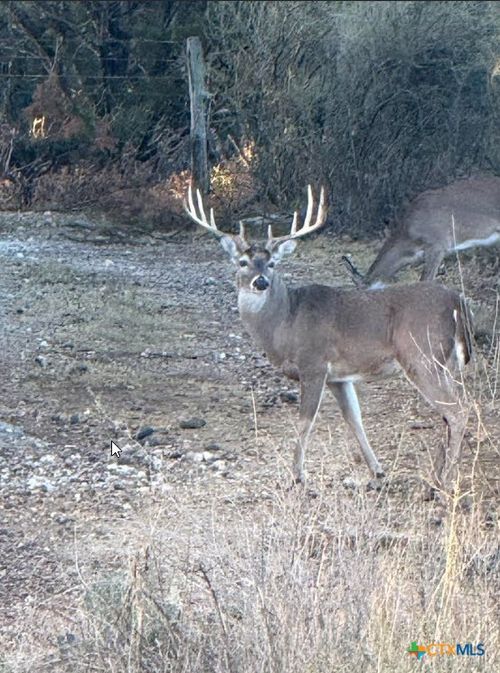 1218 Private Road 1377, Lampasas, TX, 76550-2111 | Card Image