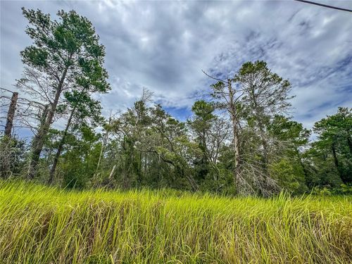 9-0 Bahama Swallow Ave, BROOKSVILLE, FL, 34613 | Card Image
