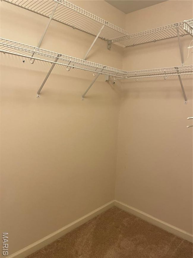 Walk in closet featuring carpet | Image 15