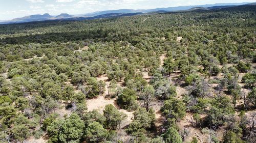 Lot 5 Cattlemen'S Court, Pie Town, NM, 87827 | Card Image