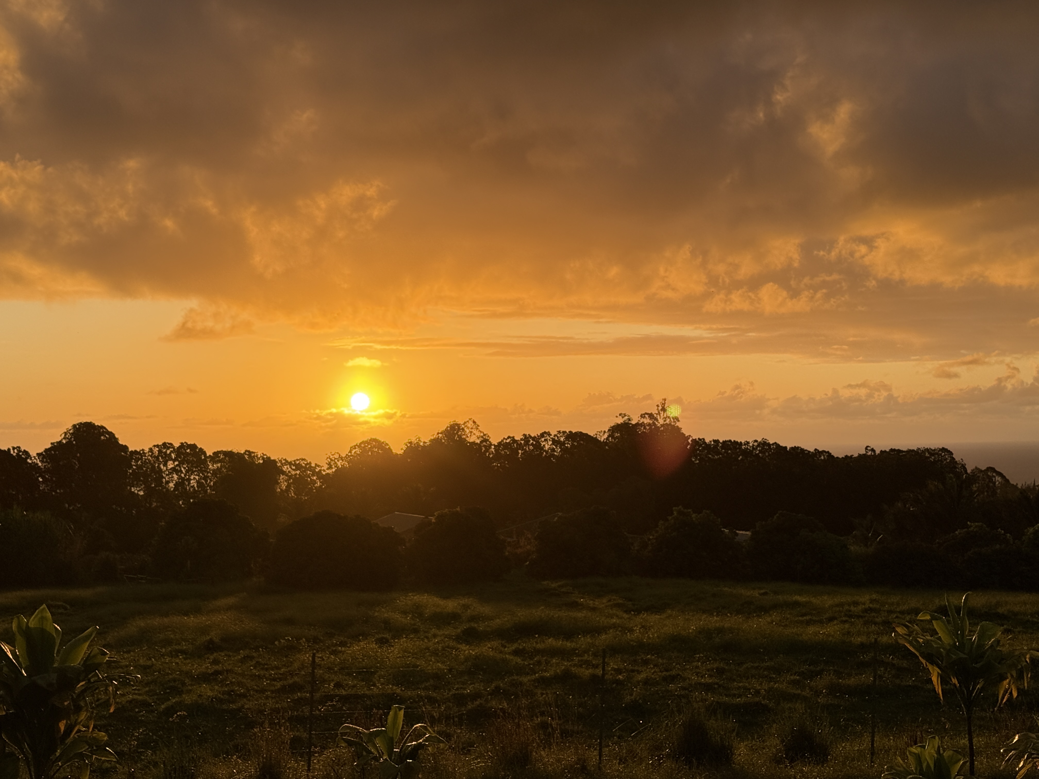 Land in Hakalau 5